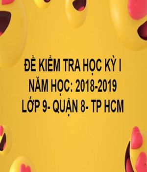 ĐỀ THI HỌC KỲ I- QUẬN 8- TOÁN 9- TP HCM- NĂM HỌC 2018- 2019
